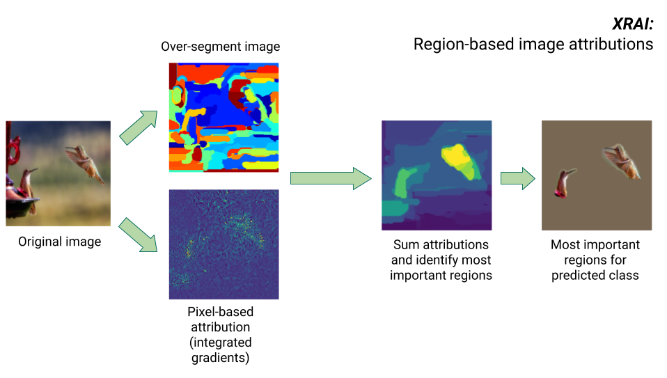 Images illustrant les étapes de l&#39;algorithme XRAI