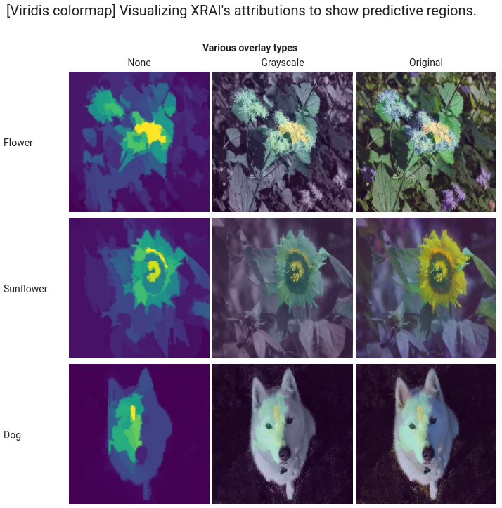 Visualisation d&#39;une attribution de caractéristiques à l&#39;aide de la méthode XRAI