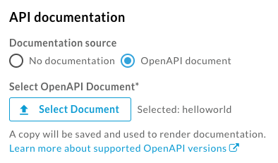 API documentation section when adding an API to the portal