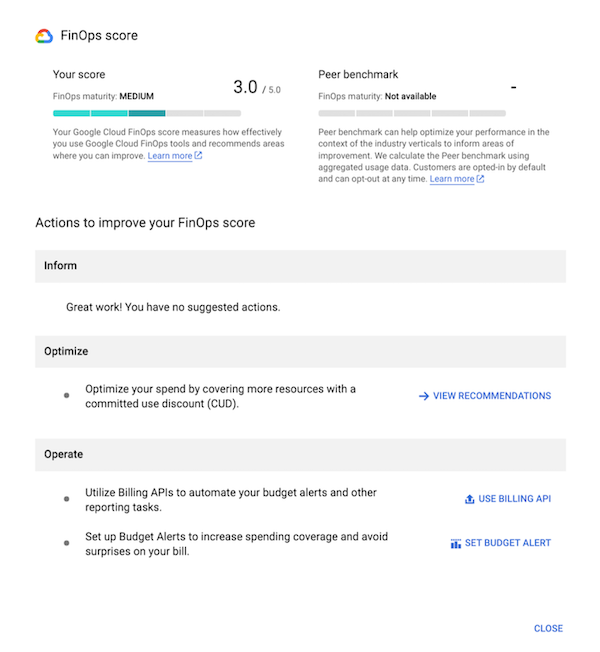 FinOps 分數詳細資料頁面範例。