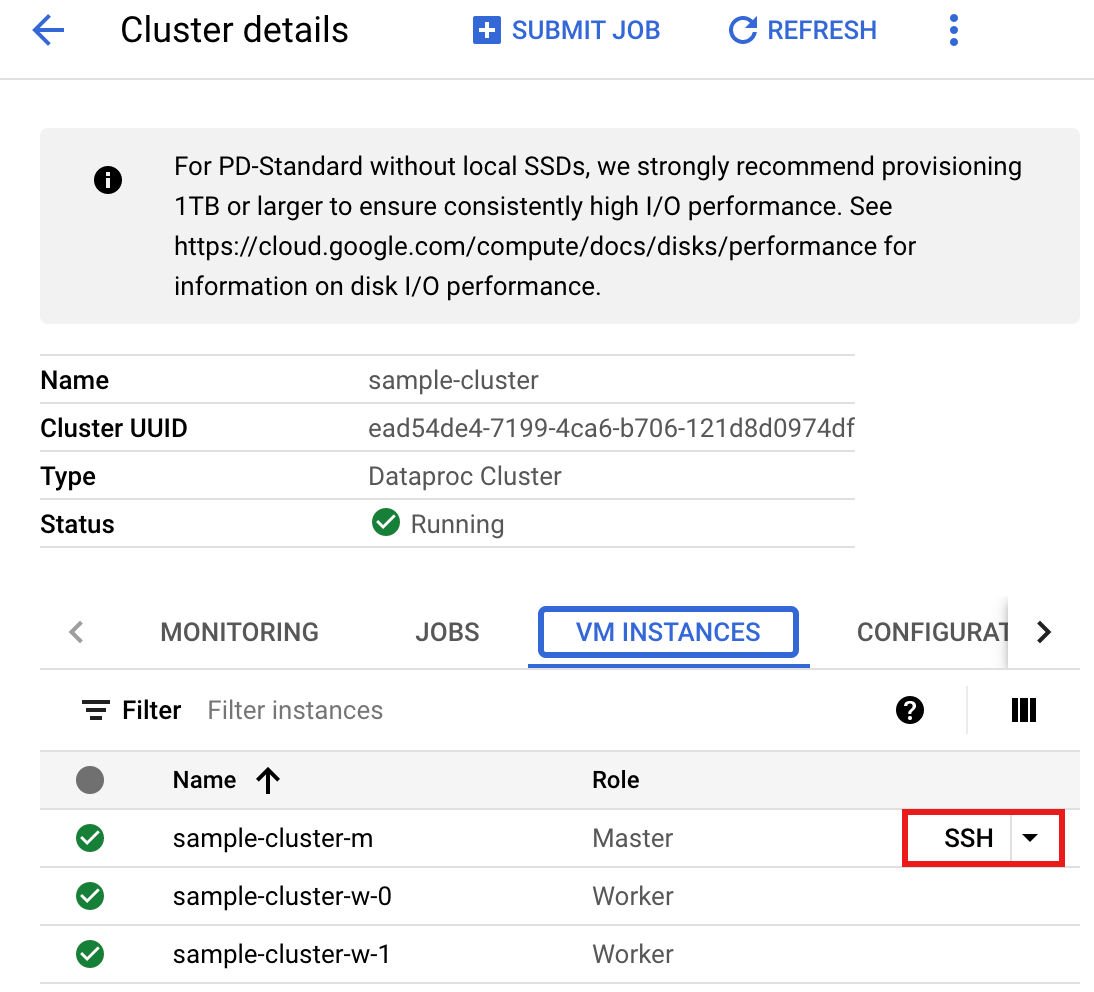 Seite mit den Details zum Dataproc-Cluster in der Cloud Console