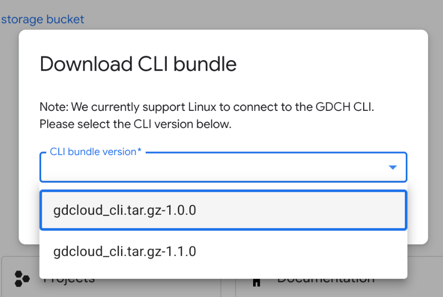 Controlla la versione del bundle CLI dal prompt di download.