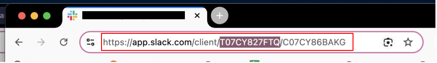 get the workspace ID in the URL next to the client segment