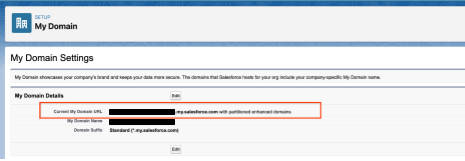 Copia il nome di dominio dell'app