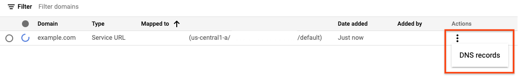 選取 DNS 記錄