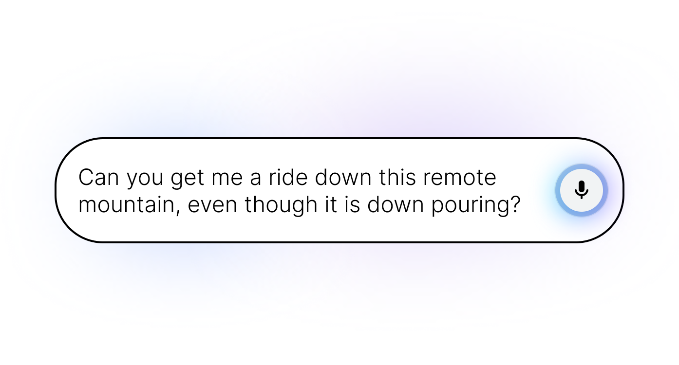 Conversational search provides multimodal accessibility support.