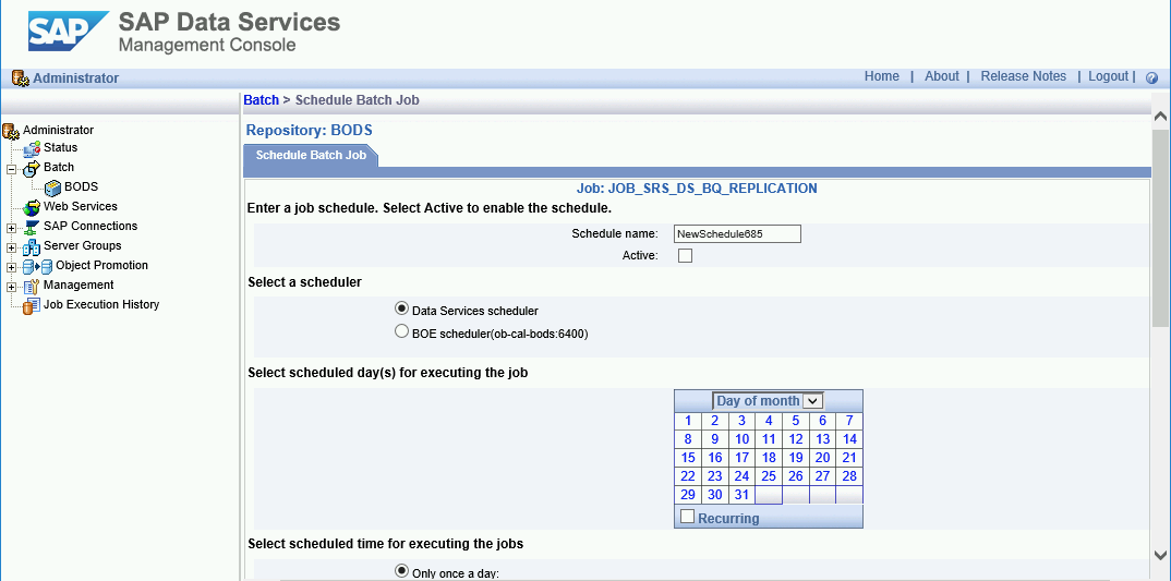 SAP Data Services 管理控制台中「Schedule Batch Job」分頁的螢幕截圖。