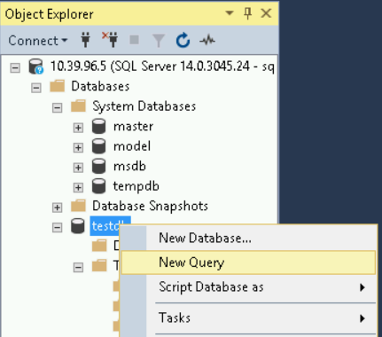 選取 testdb 的「New Query」(新查詢)