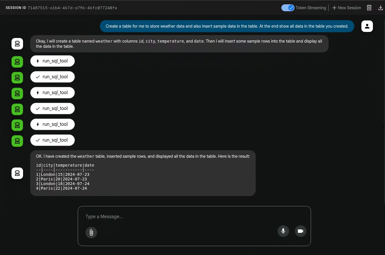 Display of interaction with the sql_agent.