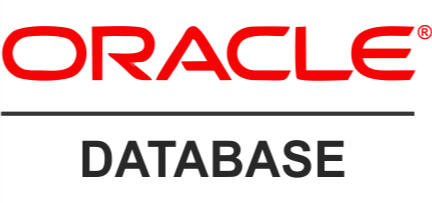 查看 Oracle 資料庫說明文件
